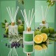 Moodcast Charmer 100ml Diffuser Moodcast Charmer 100ml Diffuser