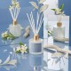 Moodcast Daydreamer 100ml Diffuser Moodcast Daydreamer 100ml Diffuser