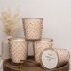 Simpatico Lush Limestone #785 Hobnail Glass Candle Simpatico Lush Limestone #785 Hobnail Glass Candle