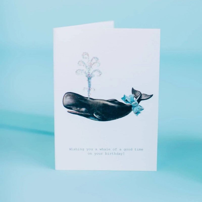 Tokyomilk Card A Whale of a Good Time Tokyomilk Card A Whale of a Good Time