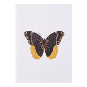 TokyoMilk Card Butterfly 