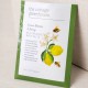 The Cottage Greenhouse Lemon Blooms & Honey Bath Salts