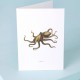 TokyoMilk Card Ciao