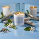 Moodcast Daydreamer 8oz Candle Moodcast Daydreamer 8oz Candle