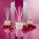Moodcast Cheers 100ml Diffuser Moodcast Cheers 100ml Diffuser