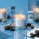 Moodcast Skinny Dip 24oz Candle 