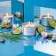 Moodcast Spa Retreat 3oz Candle 