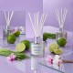 Moodcast Spa Retreat 100ml Diffuser Moodcast Spa Retreat 100ml Diffuser