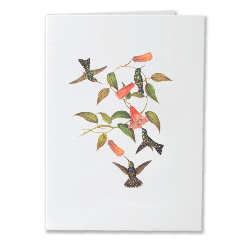 TokyoMilk Card Humming Birds TokyoMilk Card Humming Birds