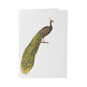 TokyoMilk Card Peacock (Blank)