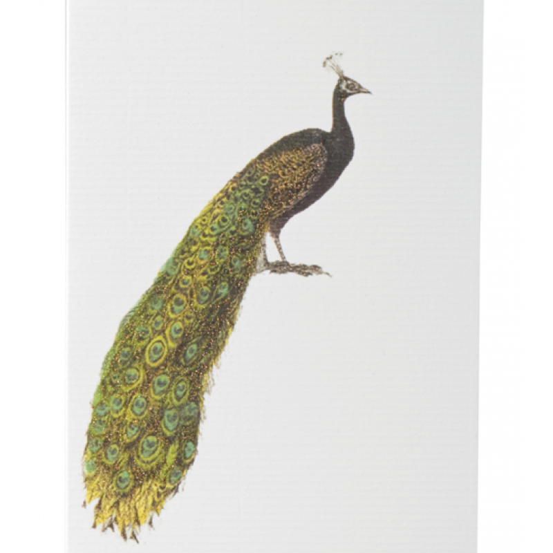 TokyoMilk Card Peacock (Blank)